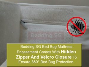 Bed Bug Mattress Encasement • Zippered Mattress Encasement