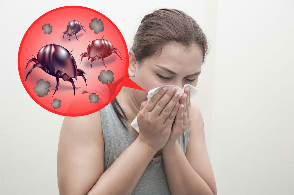 Dust Mite Allergy