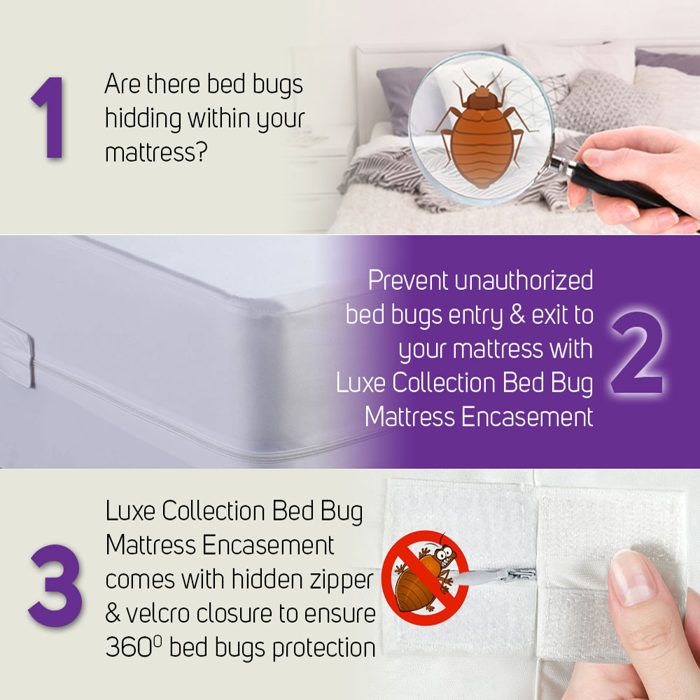 Bed Bugs Mattress Protector - Protect From Bed Bug Bites And Infestation